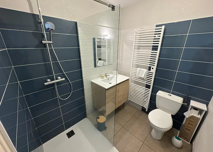 Du Puits Olivier 10 Personne Chaleureux 3 étoiles Airvault